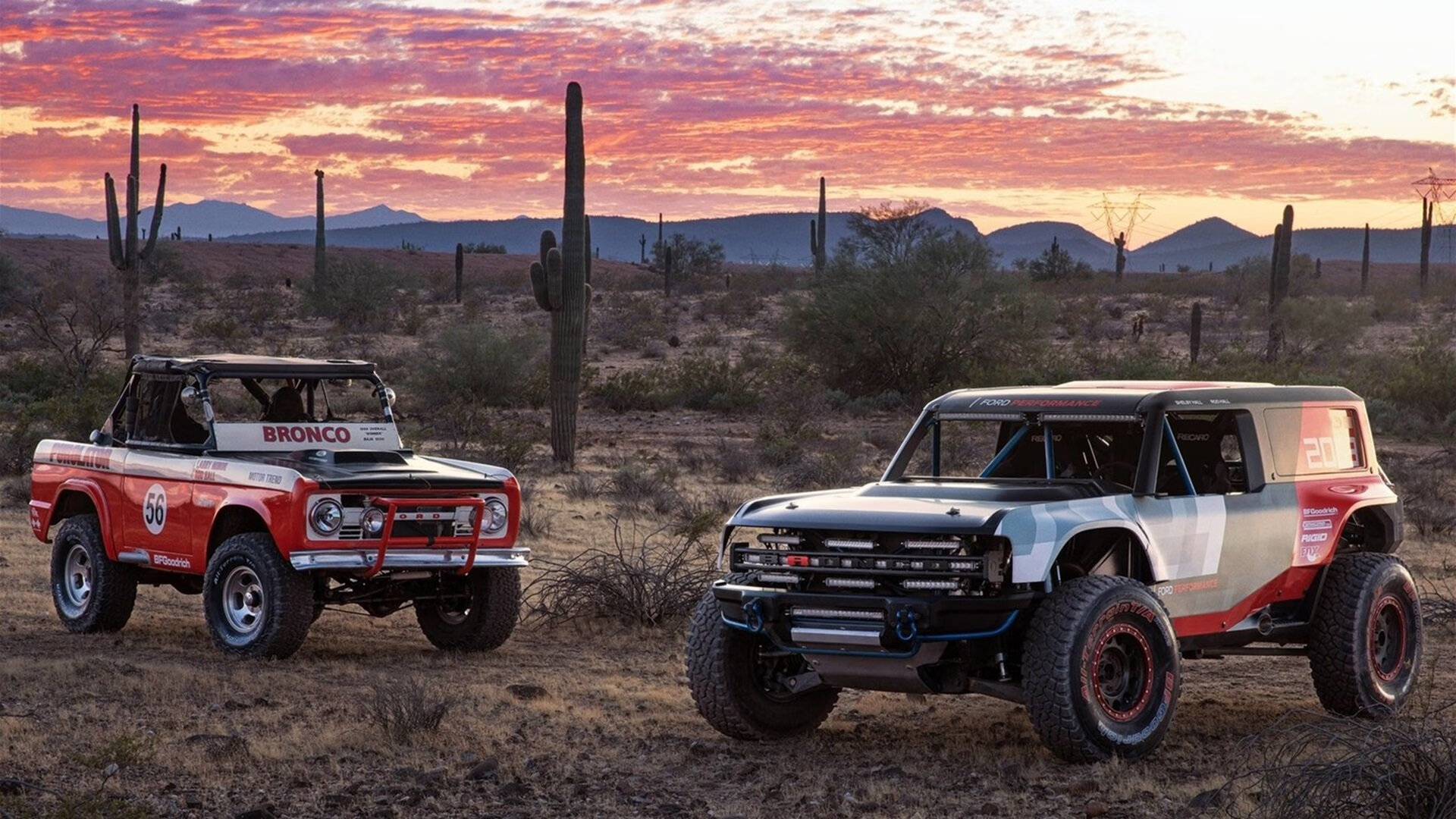 2026世界杯之夜，范戴克，以防守为笔，在时间画布上书写零封史诗