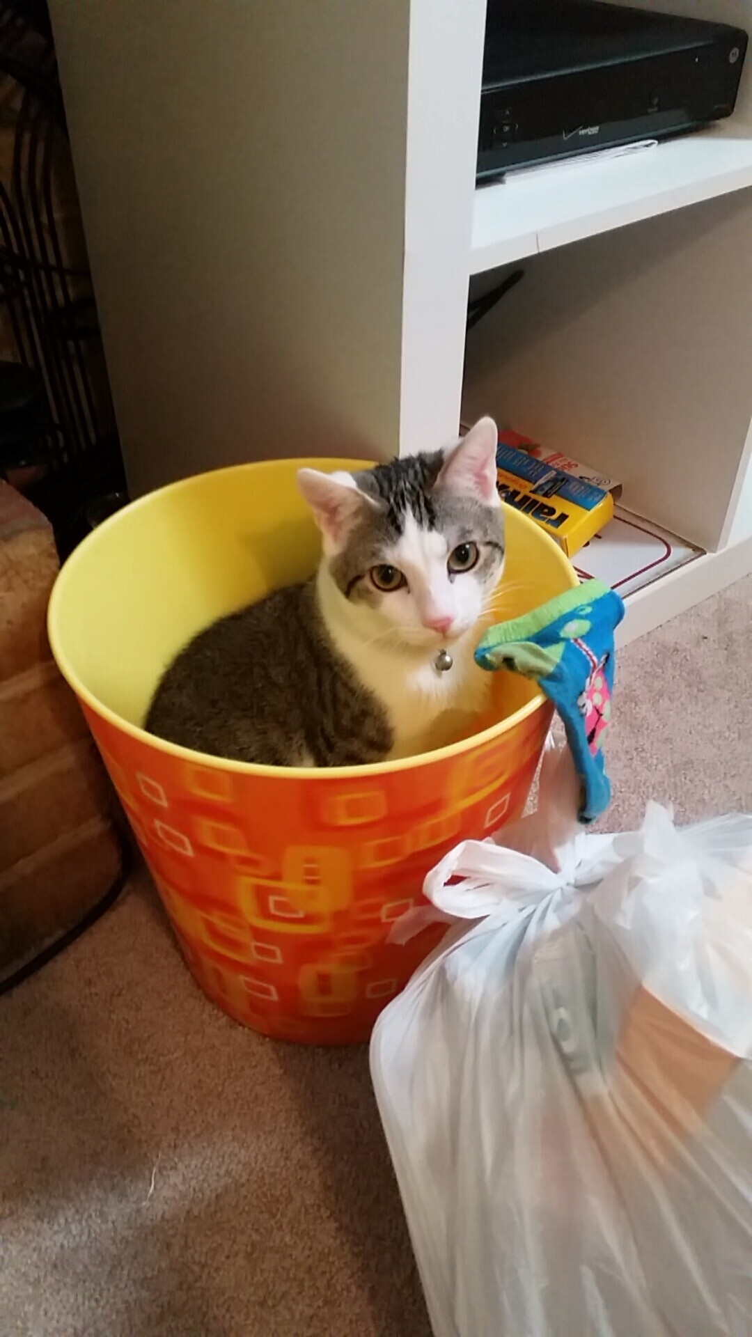 伊布高能爆发难掩颓势，曼城正面碾压比利时防线彰显王者风范