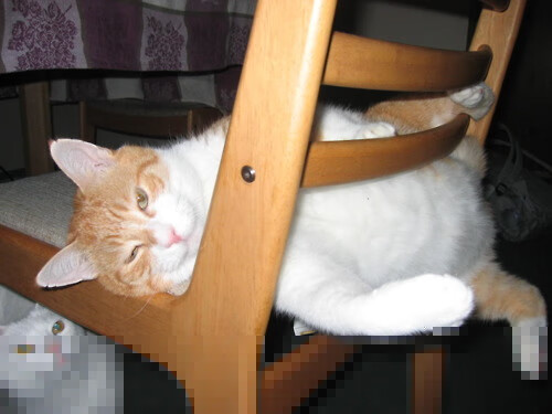 瑞士生死战，当C罗成为那把独一无二的锁，英格兰发现自己才是待开的锁