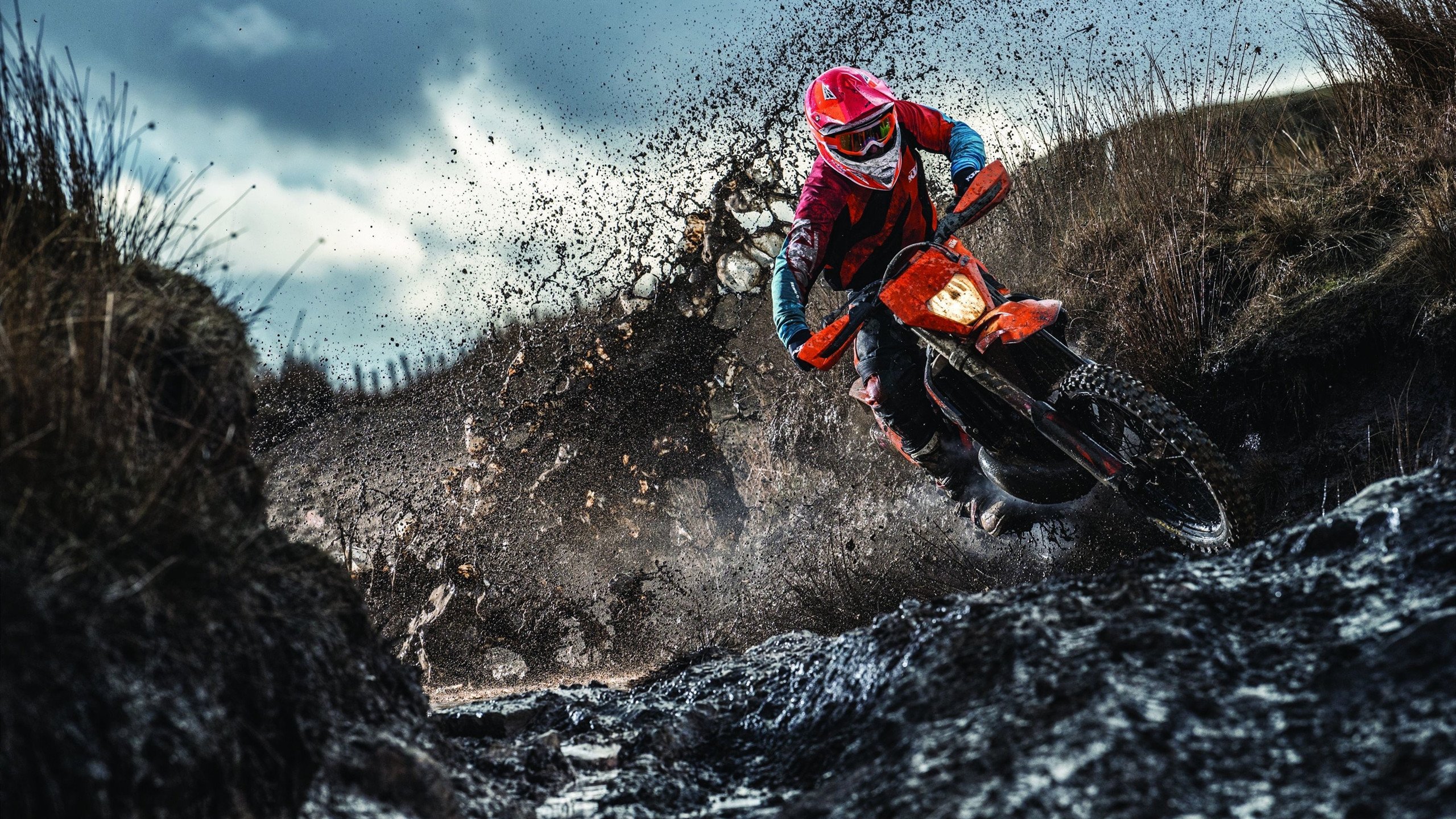 阿坎吉的怒吼,皇家社会的回响,当逆转成为跨越时空的密码