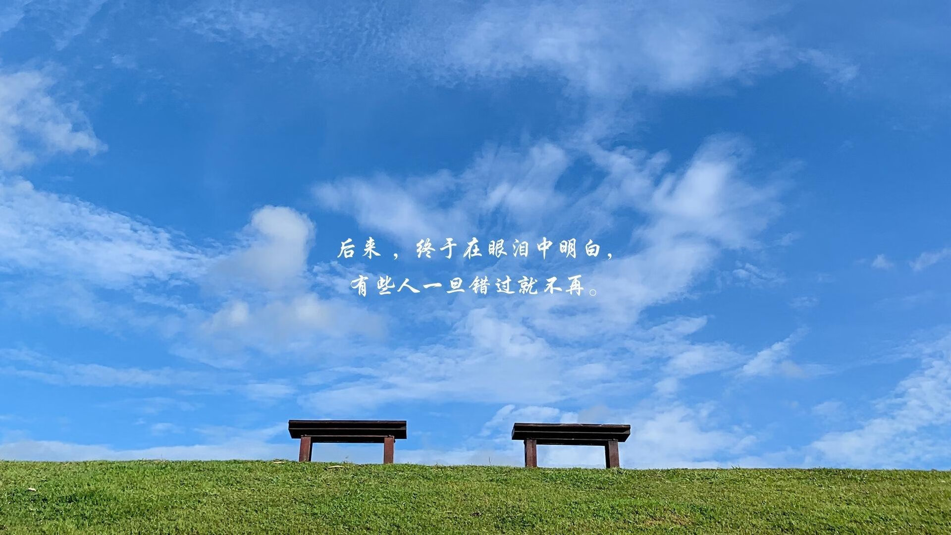 阿坎吉的怒吼,皇家社会的回响,当逆转成为跨越时空的密码