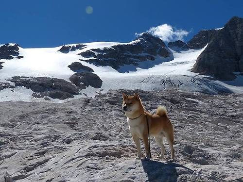 开云体育官网-火箭刺破深空时，新星已在另个半球升起