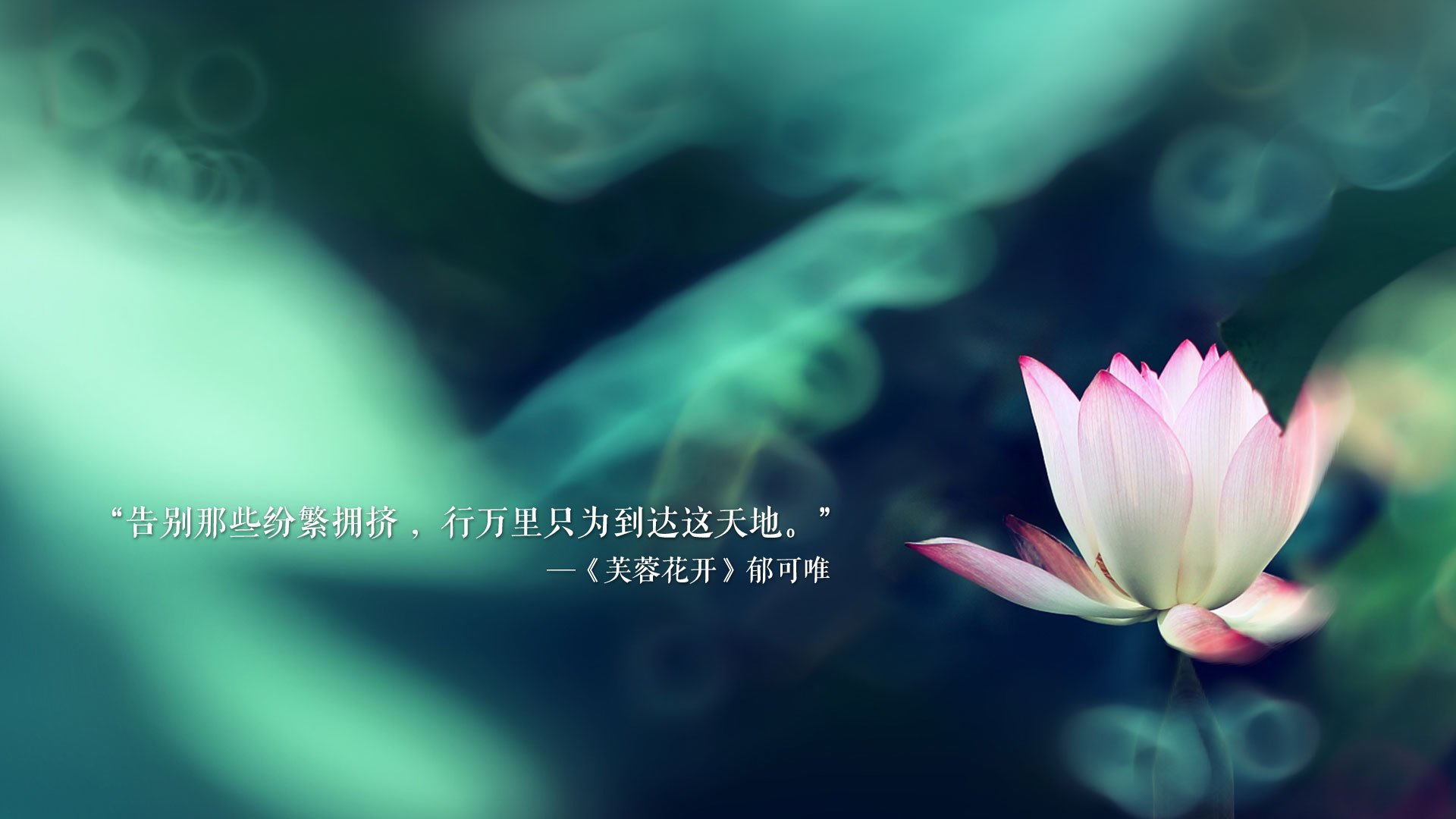 完美征服，贝林厄姆一球终结东决悬念