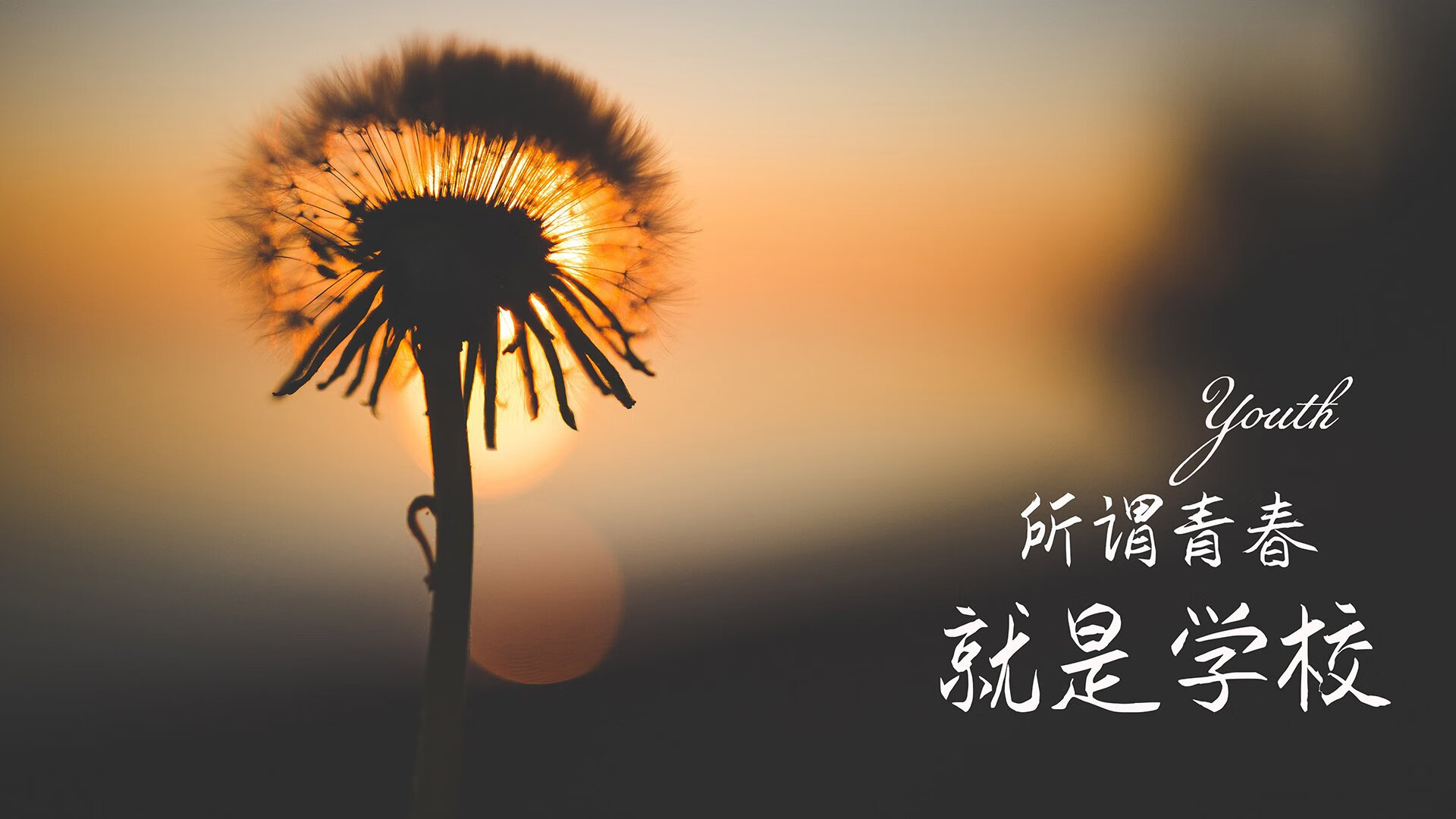 孤星闪耀,厄瓜多尔对阵亚特兰大,巴尔韦德一己之力撕碎钢铁防线
