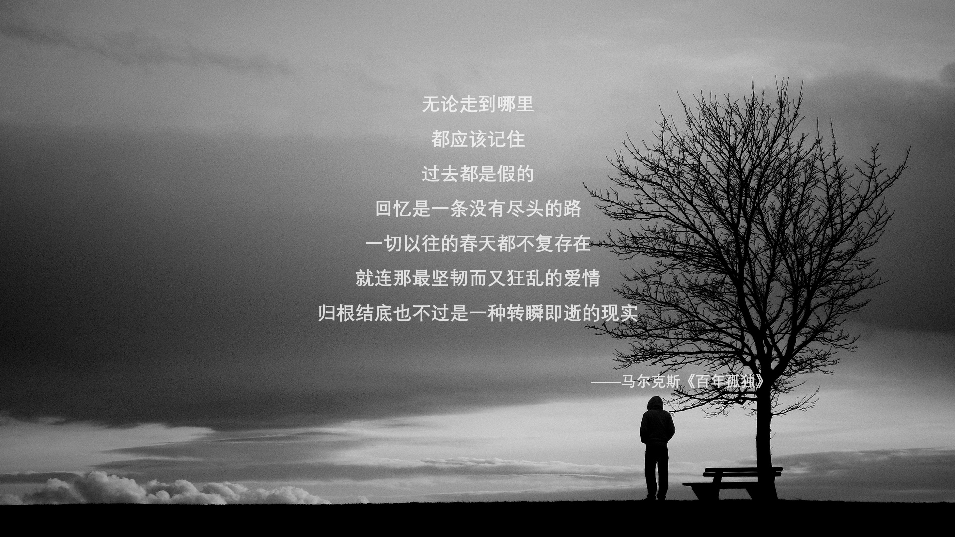 命运的倒钩,当孙兴慜在2026世界杯决赛改写亚洲足球的永恒密码
