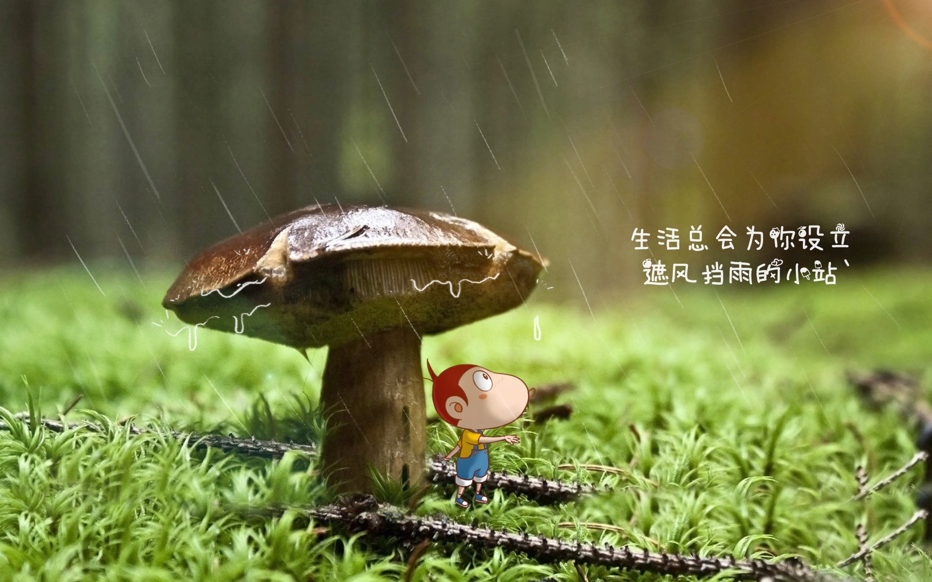 极地之刃刺穿樱花—芬兰防守反击致胜,穆西亚拉导演2026世界杯G组冷门之夜